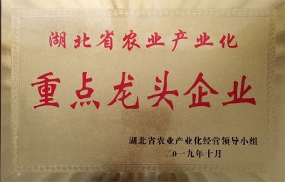 重點龍頭企業(yè)